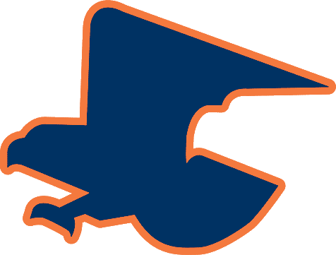Auburn Tigers 1976-1980 Secondary Logo diy iron on heat transfer